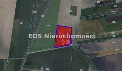 lokal użytkowy na sprzedaż 750m2 lokal użytkowy Poniatów