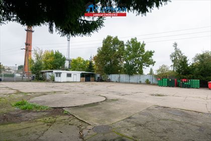 Magazyn na wynajem Chodzież 500m2 Foto 4