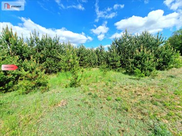 Działka budowlana w Tleniu – cisza, natura, inwestycja działka Tleń