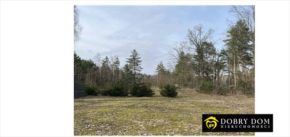 działka na sprzedaż 995m2 działka Horodniany