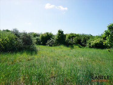 Działka przemysłowa 15 466 m² w Pszczółkach – idealna pod usługi działka Pszczółki, Żuławska