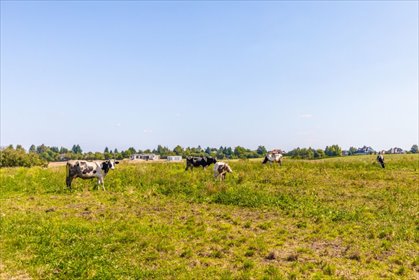 Działka 1009m2 z warunkami zabudowy w Uniszowicach działka Uniszowice