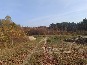 działka na sprzedaż 4665m2 działka Leśniewo, Pucka