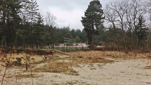 działka na sprzedaż 3350m2 działka Bukowno, Spacerowa