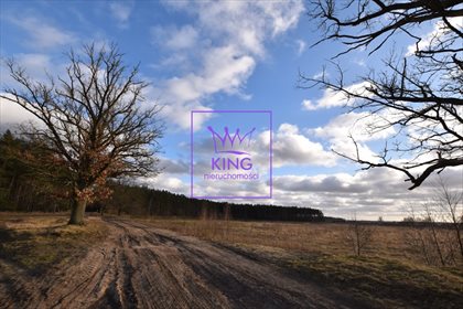 Dom na sprzedaż Sławoszewo 350m2 Foto 3