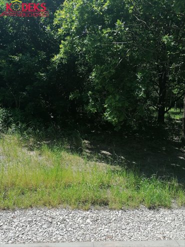 Działka 6388 m² pod zabudowę usługową i mieszkaniową. działka Jabłonna