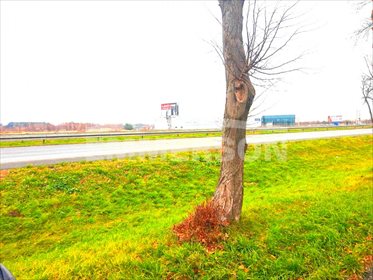 Działka przemysłowo-handlowa pod dzierżawę Cząstków Polski 2 500m2 Foto 7
