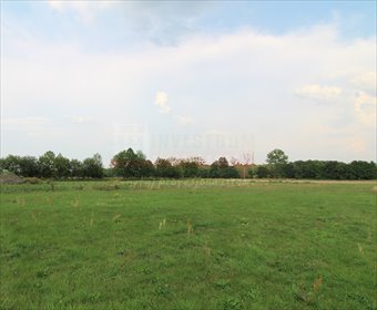 działka na sprzedaż 1800m2 działka Dobrzeń Wielki, Ameryka