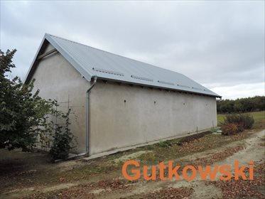 Działka gospodarstwo rolne na sprzedaż Montowo, gm. Grodziczno 60 900m2 Foto 5