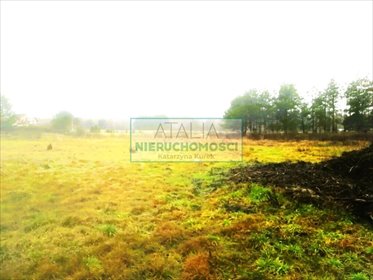 Do sprzedania działka 6024 m² z planem pod dom w spokojnej okolicy działka Słubica Dobra