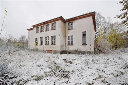 Kompleks usługowy 495 m² z potencjałem inwestycyjnym polecam lokal użytkowy Smolarnia, Pachów