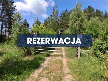 Polecam urokliwą działkę 1149 m² w Nowodworcach działka Nowodworce, Stroma