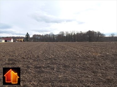 działka na sprzedaż 18600m2 działka Pawłowice, Podlesie