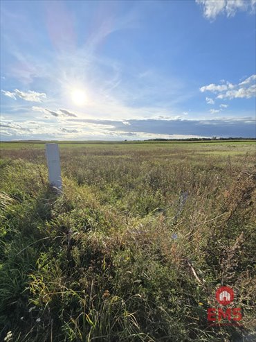 działka na sprzedaż 1700m2 działka Pajewo