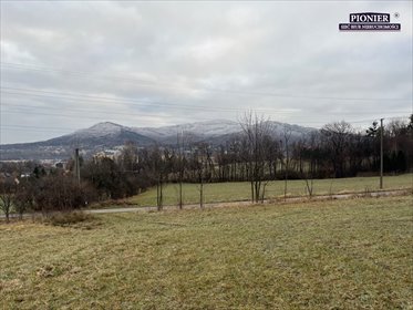 działka na sprzedaż 3000m2 działka Ustroń