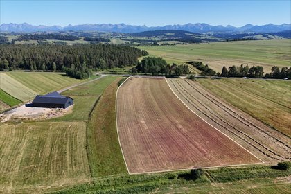 Działka na wynajem przy DW957 – 1,5 ha, widoczna, zjazd działka Nowotarski