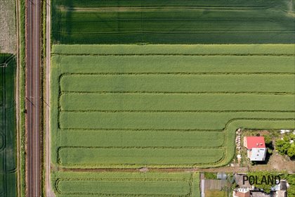 Działka budowlana na sprzedaż Pierzchno 14 730m2 Foto 2