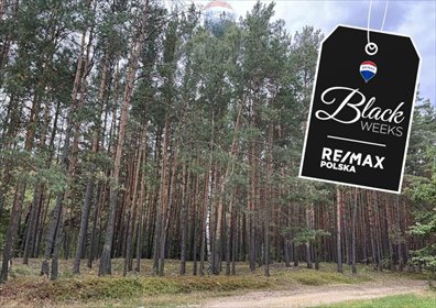 działka na sprzedaż 5500m2 działka Pustelnik