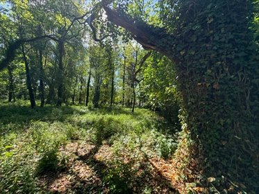 Działka pod inwestycję w Konstancinie-Jeziornej, 6470 m² działka Konstancin-Jeziorna, Konstancin-Jeziorna