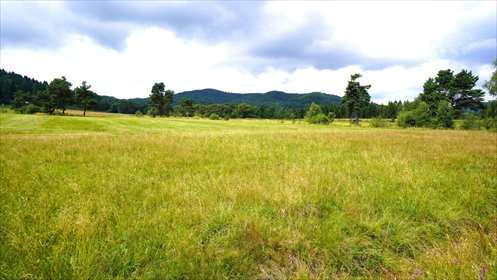 działka na sprzedaż 1000m2 działka Wysowa-Zdrój