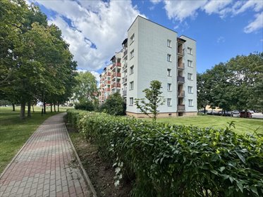 2-pokojowe mieszkanie z balkonem na Dziesięcinach (spokojna okolica) mieszkanie Białystok, Dziesięciny