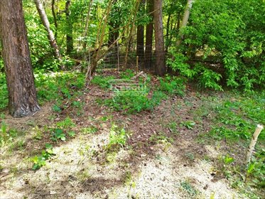działka na sprzedaż 2100m2 działka Sękocin-Las