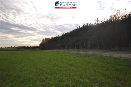 Do sprzedania działka 3,4 ha pod osiedle z planem w Lubaszu działka Lubasz