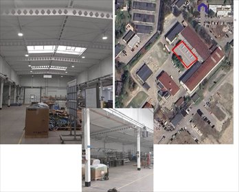 lokal użytkowy na wynajem 1242m2 lokal użytkowy Katowice, Koszutka