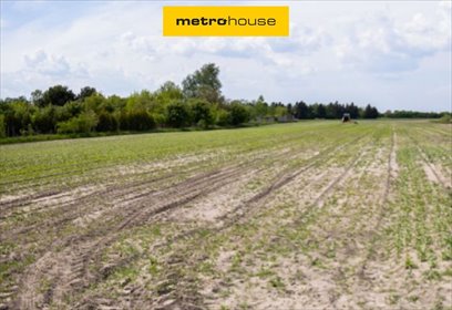 działka na sprzedaż 41719m2 działka Poznań, Pokrzywno