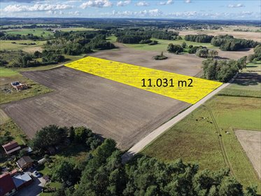Działka 11 031 m² w Boroszewie - zapraszam działka Tczew, Boroszewo