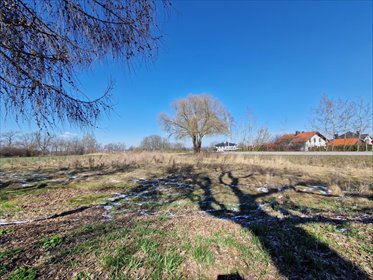 Działka budowlana na sprzedaż Mikołów, Paniowy, Mokierska 1 047m2 Foto 3