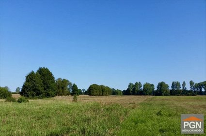 Duża działka rolna 3,83 ha pod fotowoltaikę. działka ŚWIERZNO OKOLICA