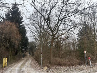 działka na sprzedaż 1009m2 działka Poznań, Nowe Miasto, Starołęka, Masztowa