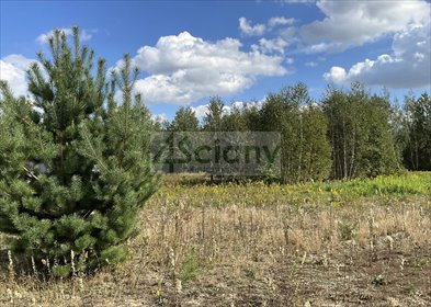 Działka 1050 m² z mediami i MPZP w Starej Wsi. działka Stara Wieś