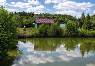 Zapraszam do własnego raju nad wodą w Hołodach działka Hołody