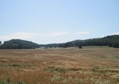działka na sprzedaż 4730m2 działka Barcinek