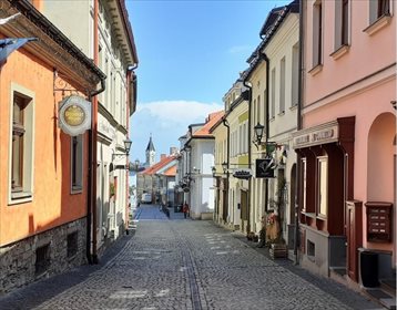 dom na sprzedaż 550m2 dom Bielsko-Biała, Rynek