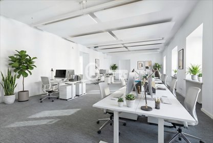 Lokal użytkowy 227 m² przy Nowym Świecie - polecam lokal użytkowy Warszawa, Śródmieście Północne, Nowy Świat