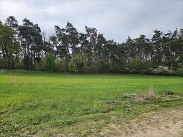 działka na sprzedaż 1645m2 działka Góra