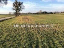 Działka rolna z warunkami zabudowy, 71 400 m², Koronowo działka Stary Dwór