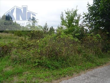 działka na sprzedaż 10800m2 działka Korytków