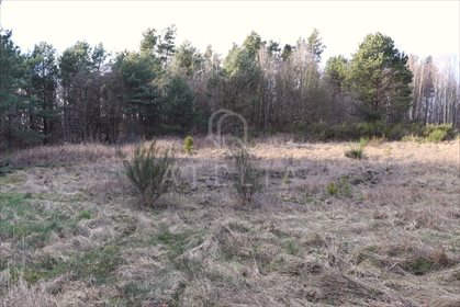 działka na sprzedaż 2648m2 działka Gdynia