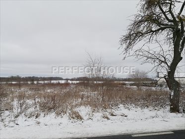 Działka inna na sprzedaż Piersko 4 726m2 Foto 6