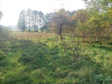 działka na sprzedaż 1042m2 działka Sokolniki-Las