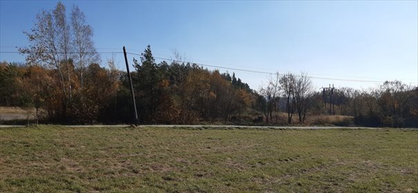 Działka inwestycyjna na sprzedaż Wysoczany 10 000m2 Foto 7
