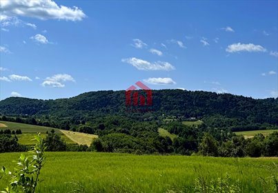 działka na sprzedaż 3000m2 działka Brzeziny