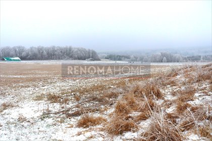 działka na sprzedaż 3000m2 działka Myślinów