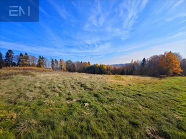 działka na sprzedaż 7000m2 działka Lutcza