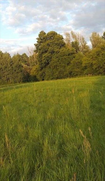 działka na sprzedaż 6000m2 działka Kady, Mazowiecka 296