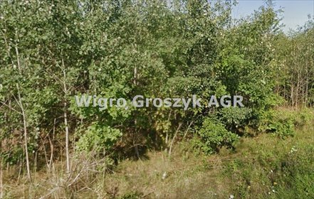 Działka 1656 m² w Sowiej Woli - możliwość podziału i zabudowy działka Sowia Wola